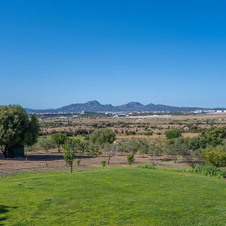 Villa Patrizia-Luxury House أولبيا المظهر الخارجي الصورة